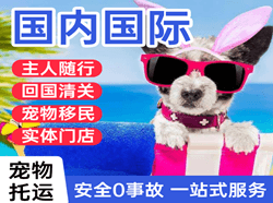 三明沙县航空物流国际宠物托运 【国